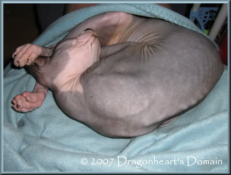Dragonheart asleep Dragonheart asleep