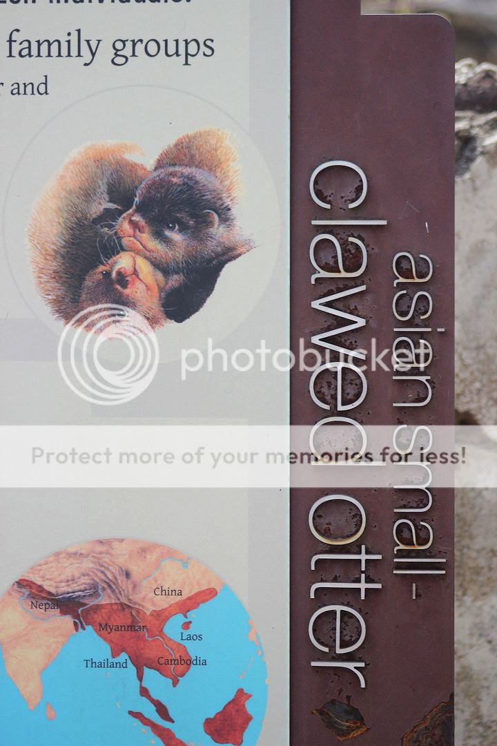  photo zoo8_zps5aeaec5d.jpg