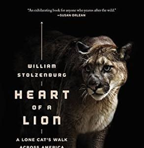 Read Heart of a Lion: A Lone Catâ€™s Walk Across America Internet Archive PDF