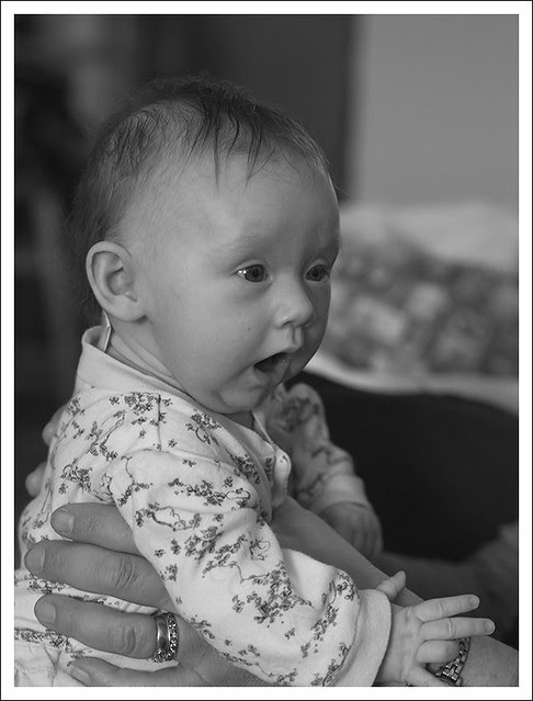 Madeleine 2013-11-10 3