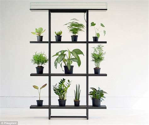 genius shelf automatically waters potted flowers