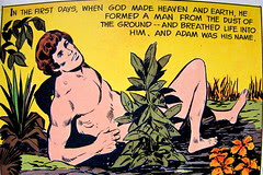 And the plants of the garden