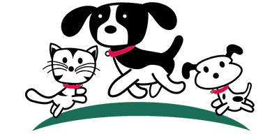 Service Area Pongo S Pals Pet Services North Kingstown Ri And Areas