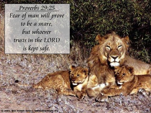 Proverbs 29:25