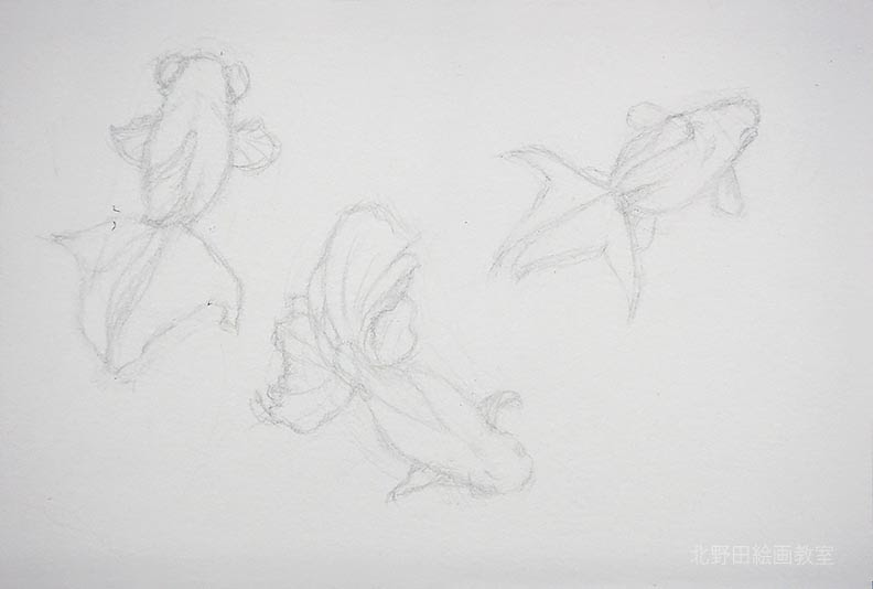 水彩色鉛筆の描き方 使い方 Vol 3 葉書サイズ 金魚編 北野田絵画教室