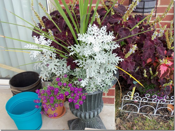 10-16-2016 GW24 (42)