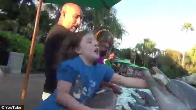 Strong pull: The dolphin nearly drags Jillian into the water with it