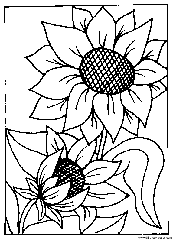Girasoles para colorear e imprimir - Imagui
