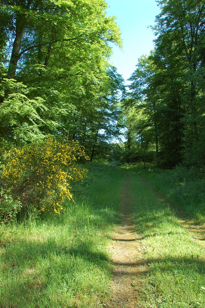 lane