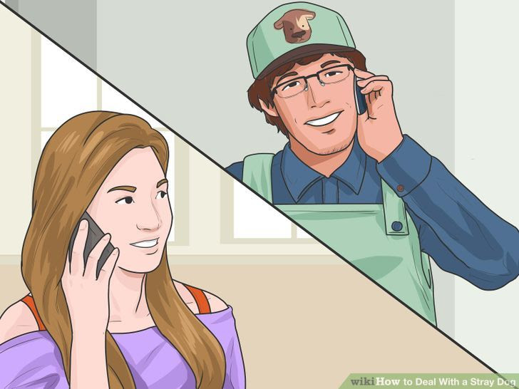 Deal With a Stray Dog Step 8 Version 2.jpg