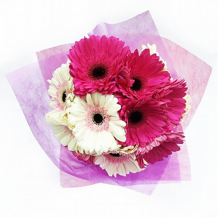 ダズンフラワー ガーベラ 1101 Www Flowerpark Info