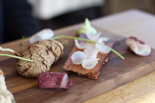 OKO starter / OKO eelroog