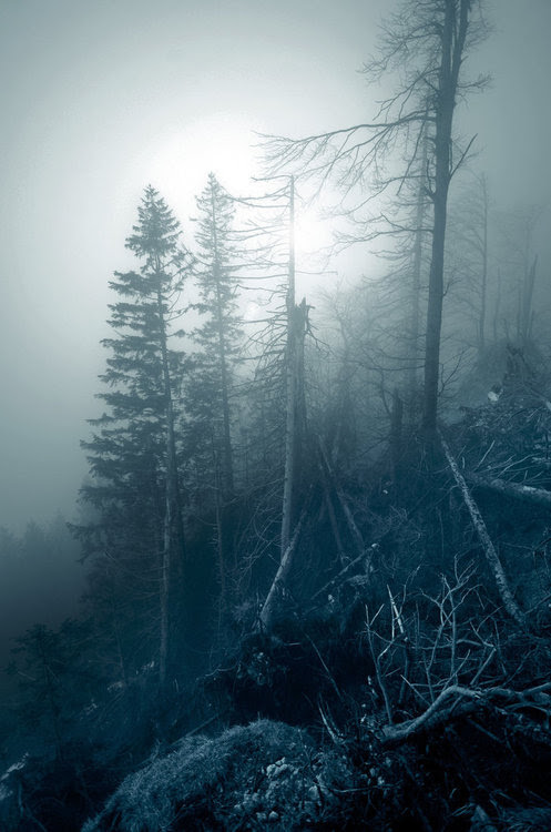 Cold Misty Haze Pictures, Photos, and Images for Facebook 