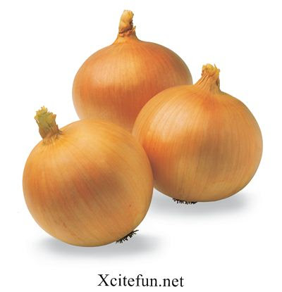 Types of Onions A Complete Glossary Types of Onions A Complete Glossary