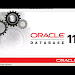 How To Install Oracle 11g On Linux Mint Download Clip mp3 and Mp4