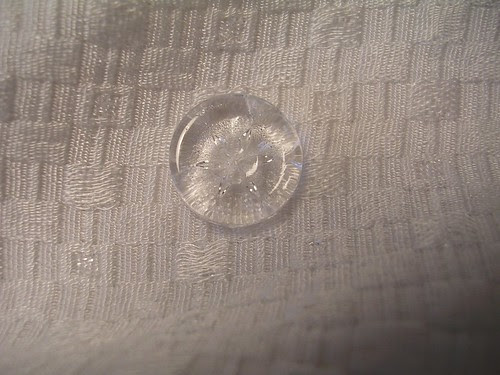 DSCN2274