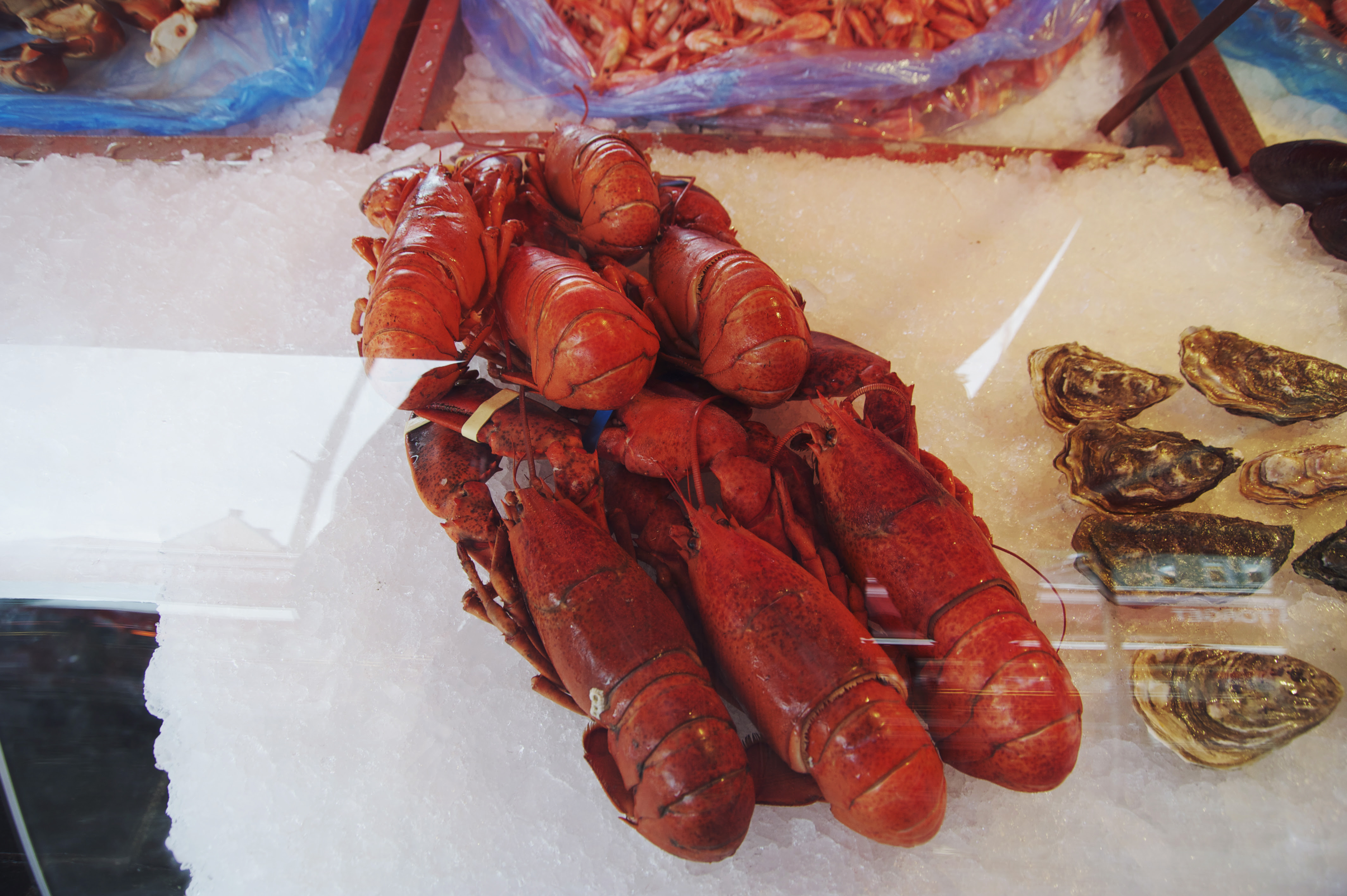 Fish Market in Bergen Norway Fish Market in Bergen Norway
