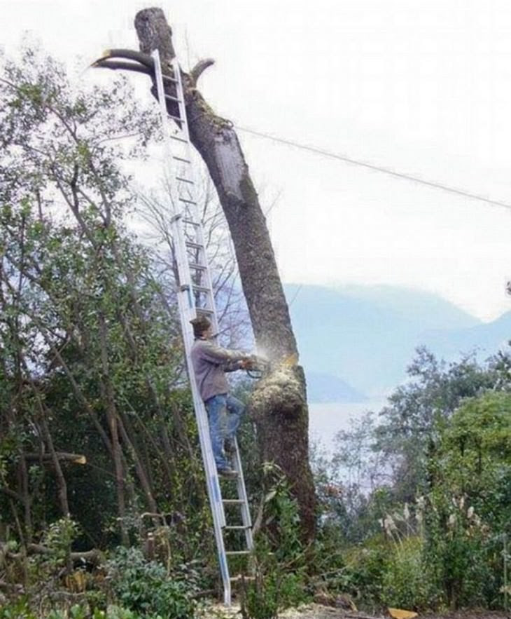 Quando os homens aprenderão que nunca serão imortais?