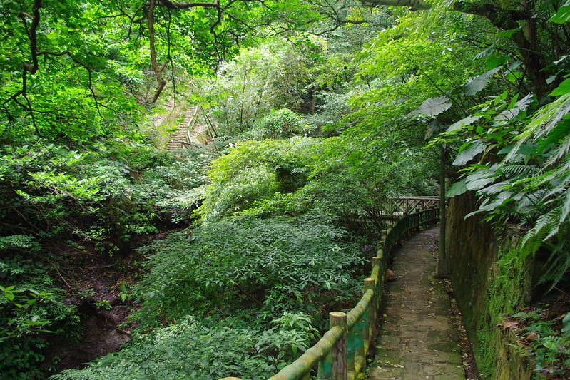 無標題