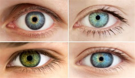 Under magnification, gray eyes exhibit small amounts of yellow and brown color in the iris. all about the human eye color chart