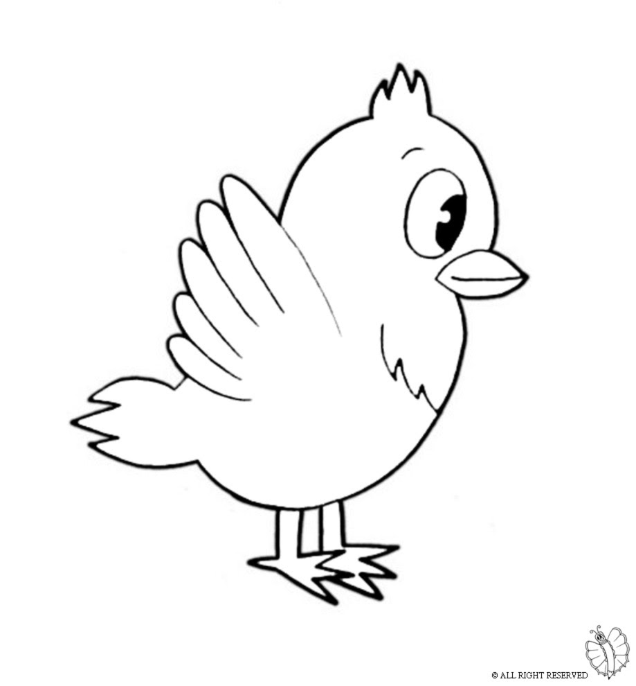 disegni primavera uccellino sul ramo Quotes I bambini piccoli sono affascinati dal