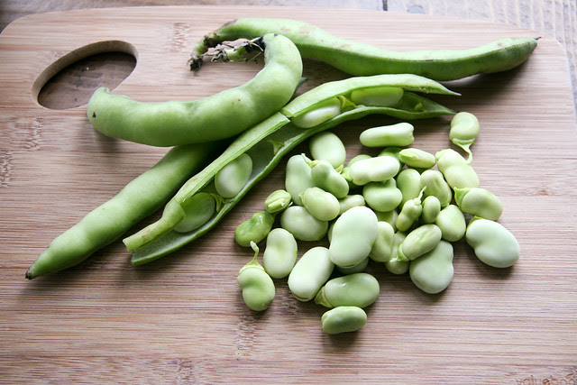 Fava Beans and Corn