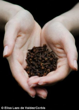 Researchers discovered that films made with clove (left) and oregano (right) essential oils can maintain bread's freshness