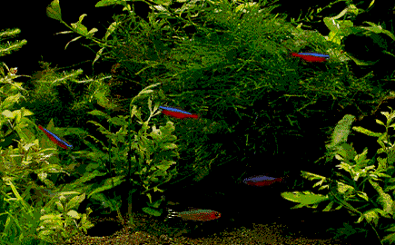 観劇記録２０１年