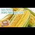 Cara Nak Memilih Jagung Manis Yang Baik