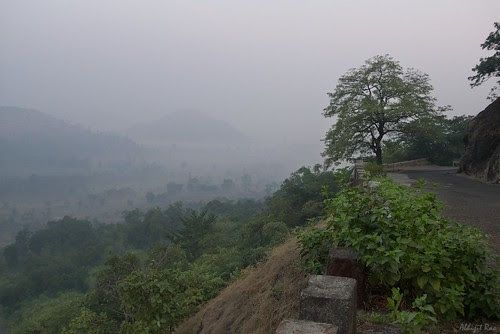 Fog shrouded valley