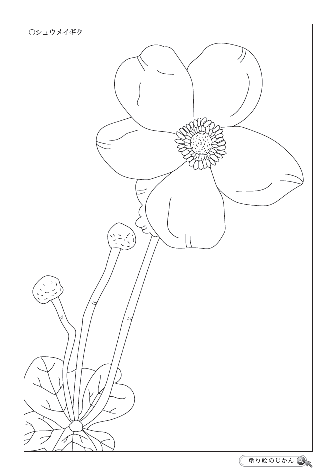 10月の花ぬりえ 塗り絵のじかん