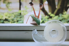 eco friendly products
