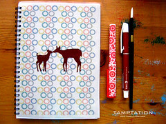 travel journal