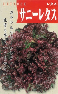 野菜 熱帯果樹の種 一般商品 リーフレタス サニーレタス 小袋 約1000粒
