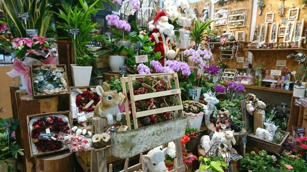 Blog フラワーショップ双葉園