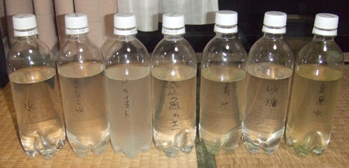自由研究 ミジンコ増殖実験 コーイチの庭日記