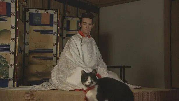 爱猫成痴的日本天皇 留下了怎样的传说 小猫