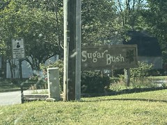 Sugar Bush 
	