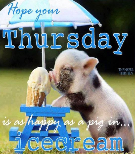 Hope Your Thursday Is As Happy As A Big In Ice Cream 