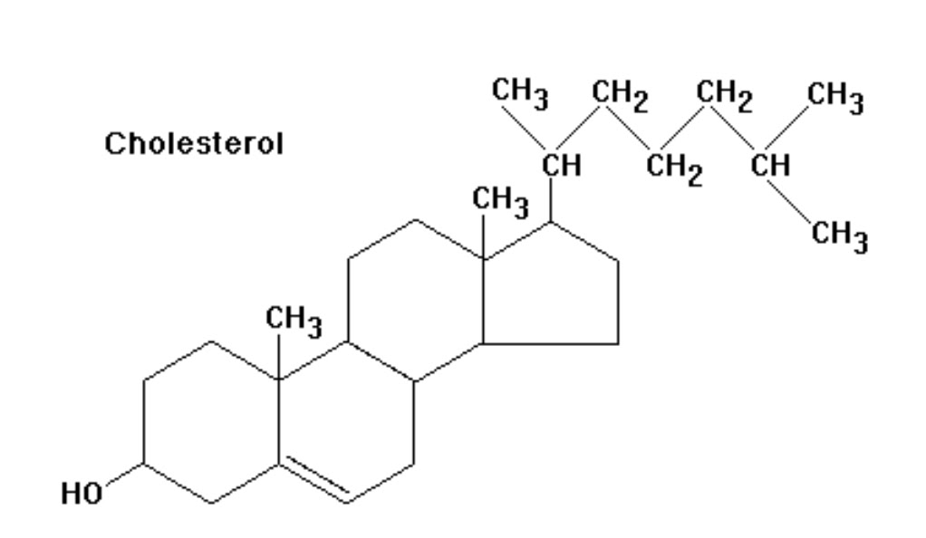 Image result for cholesterol molecule