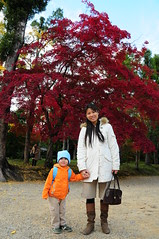 DSC_0800_仁和寺