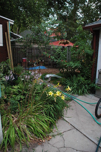 Filtered View into the Backyard from the Driveway