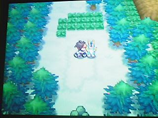 http://www.serebii.net/images/cobalion.jpg