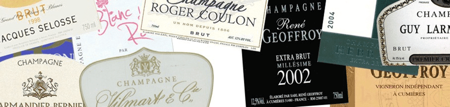 Family Estate Champagnes: The Latest Foodie Fave!