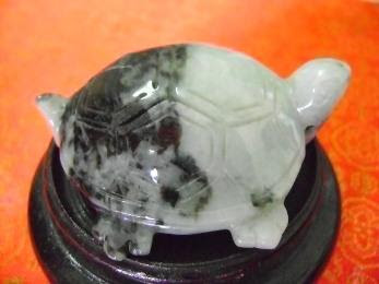 7  Những phương pháp đơn giản để hóa giải sát khí cho nhà ở