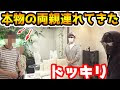 いろいろ ラファエル 年齢 36 208409