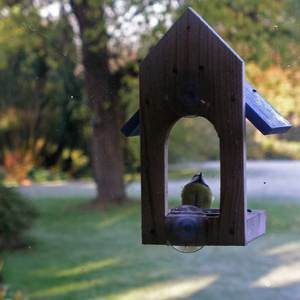 Wooden Window Bird Feeder