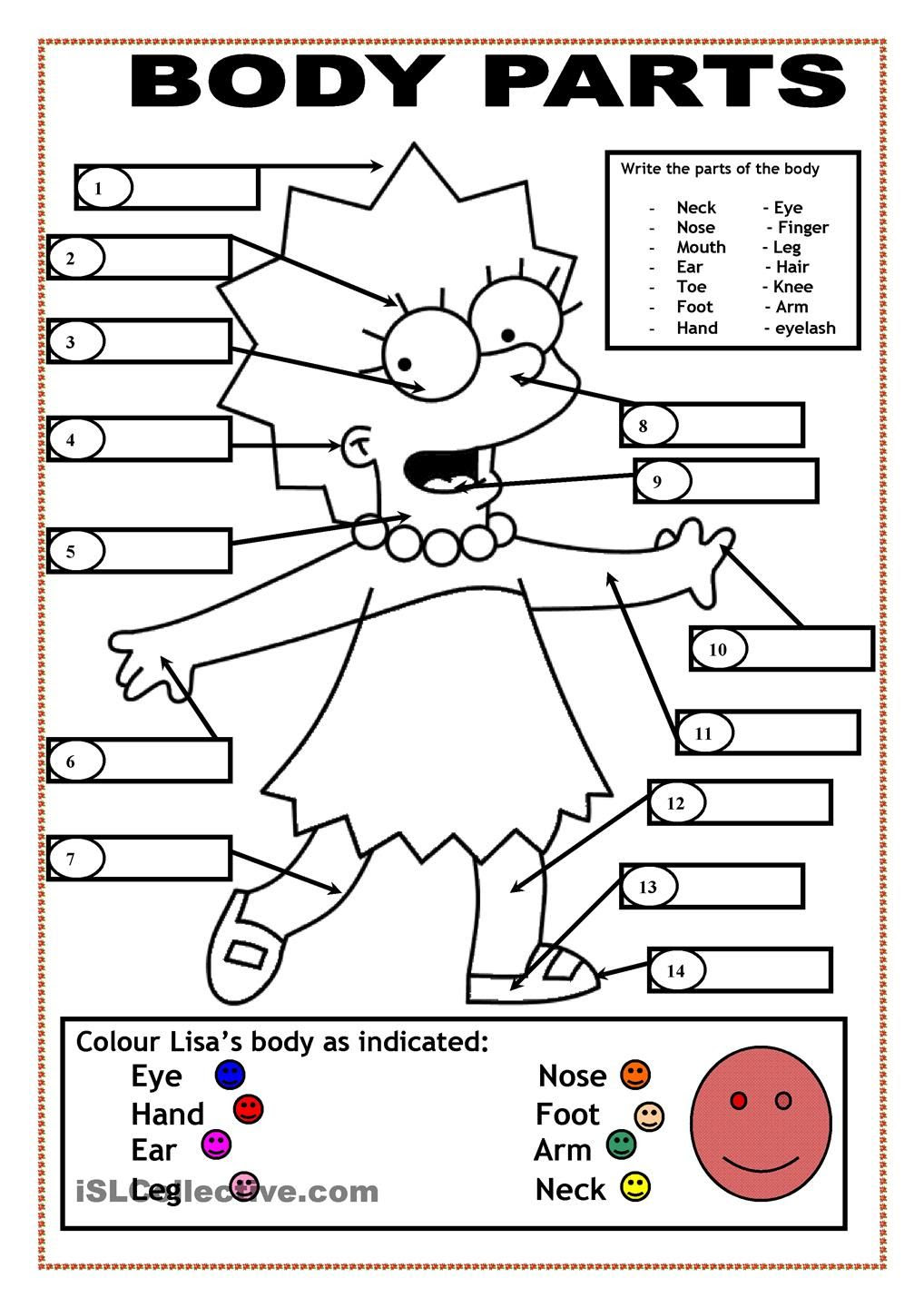 esl body parts worksheet clip art library