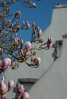 Brittany-30.jpg