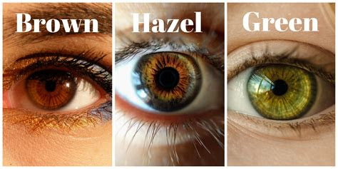  hazel eye color hex code img abedabun